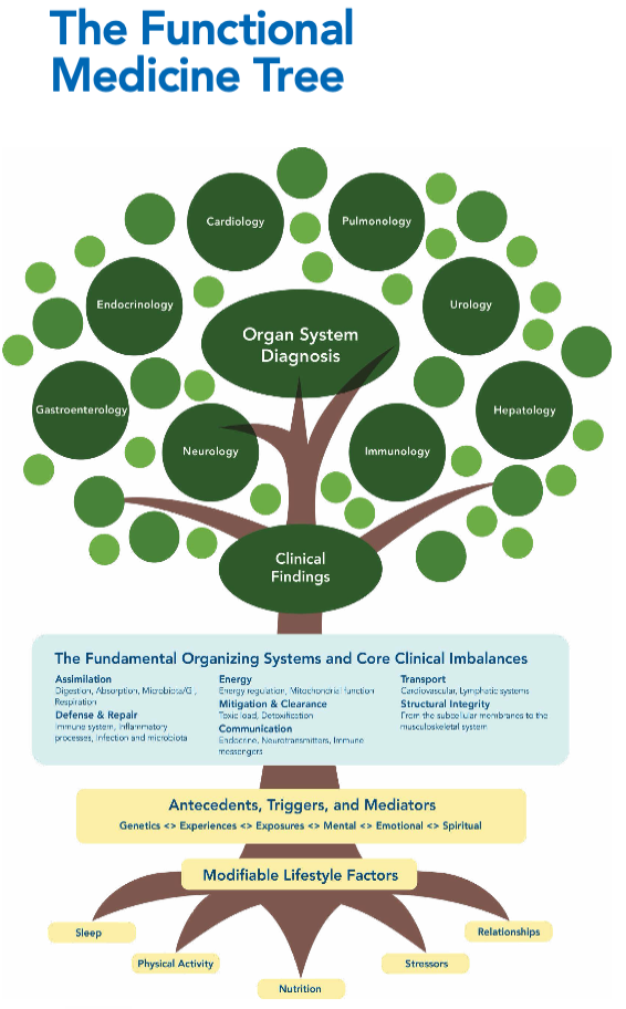 The Functional Medicine Tree from the Institute for Functional Medicine